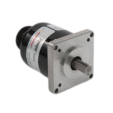 q5s581fgzydujoo1k80b3u7hrq5g-removebg-preview.png